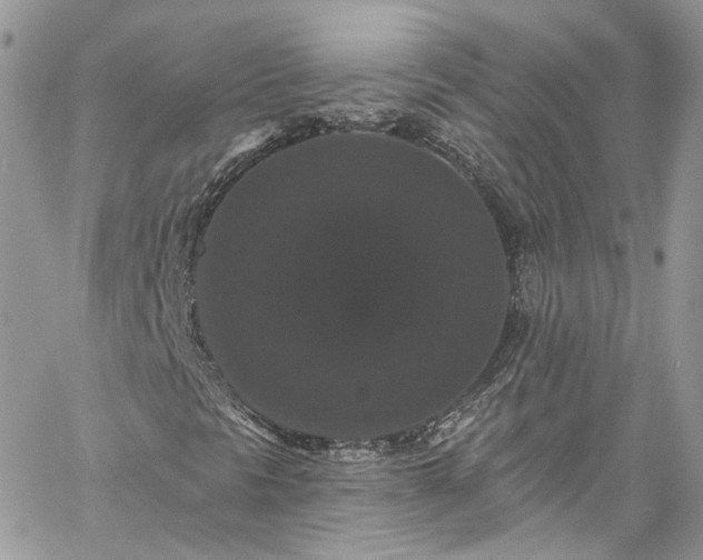 X0000060791297200511171258