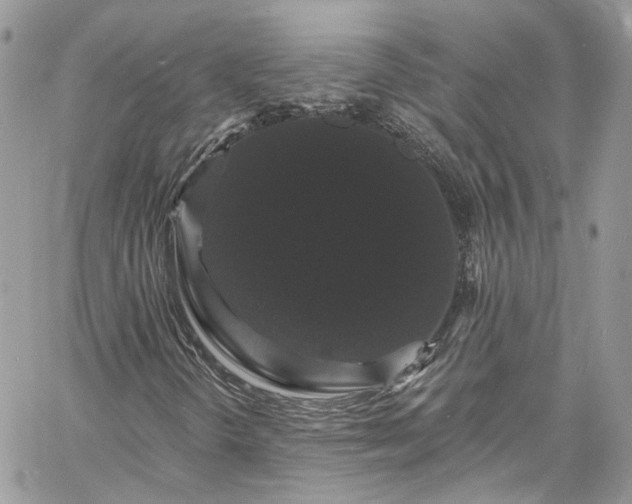 X0000060791298200511171258