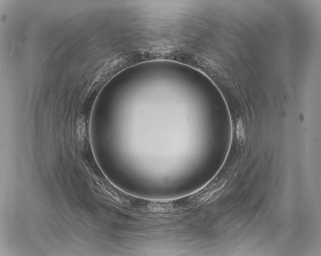 X0000060791299200511171258