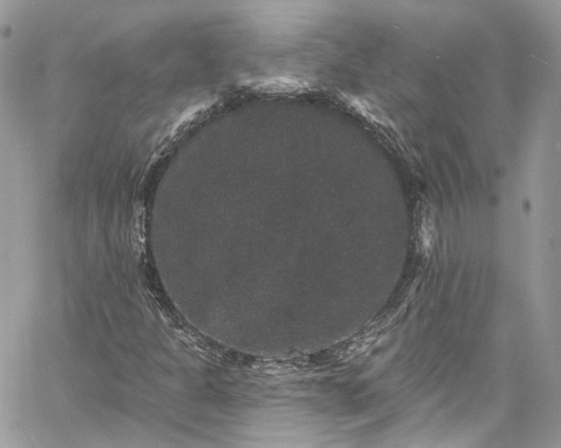 X0000060791301200511171258