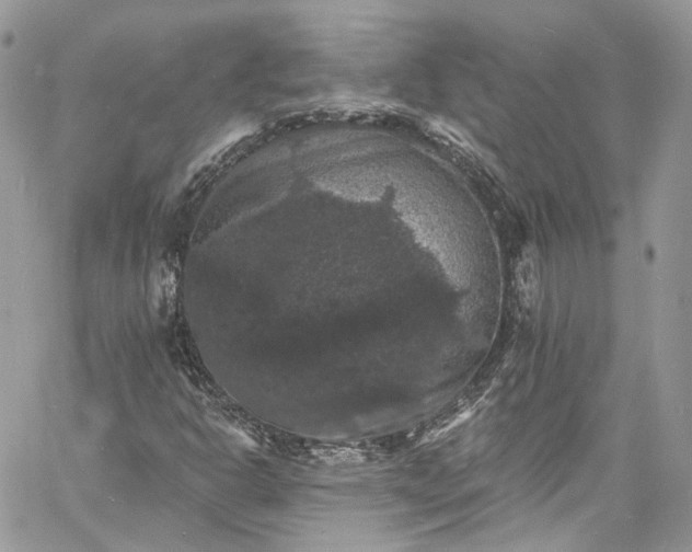 X0000060791302200511171258