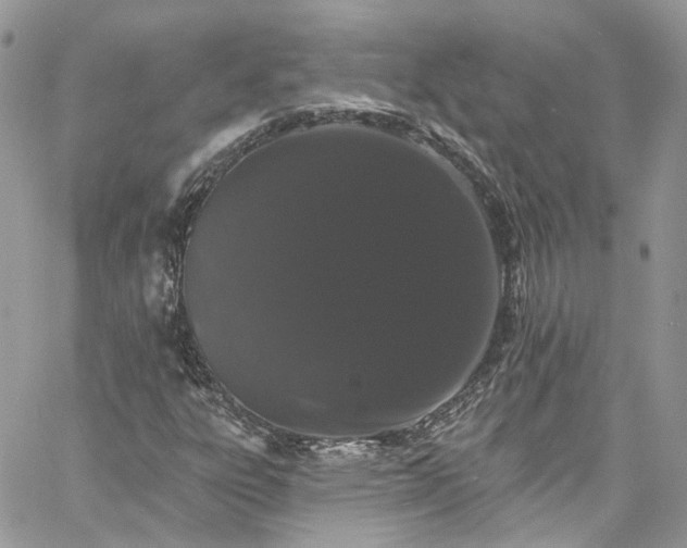 X0000060791303200511171258