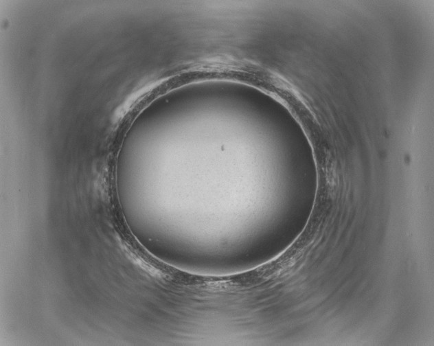 X0000060791304200511171258