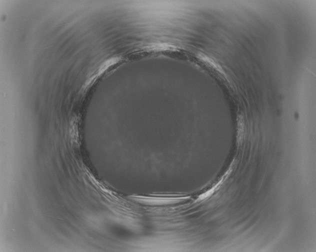 X0000060791305200511171258