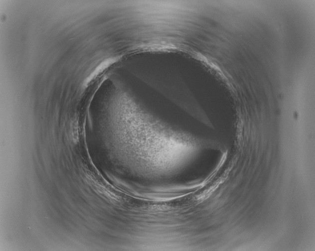 X0000060791306200511171258