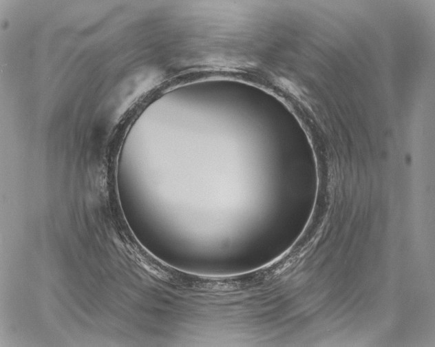 X0000060791307200511171258