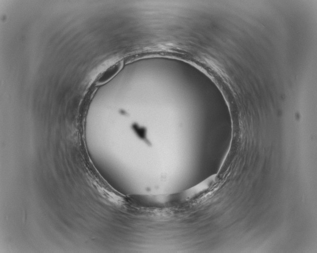 X0000060791308200511171258