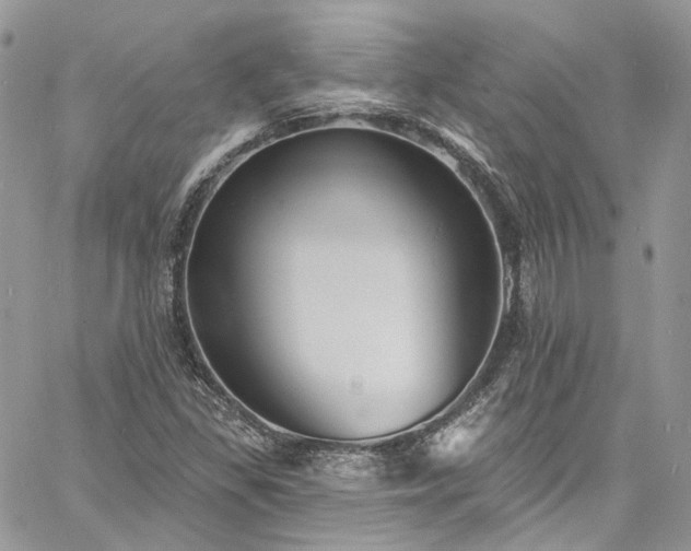 X0000060791309200511171258