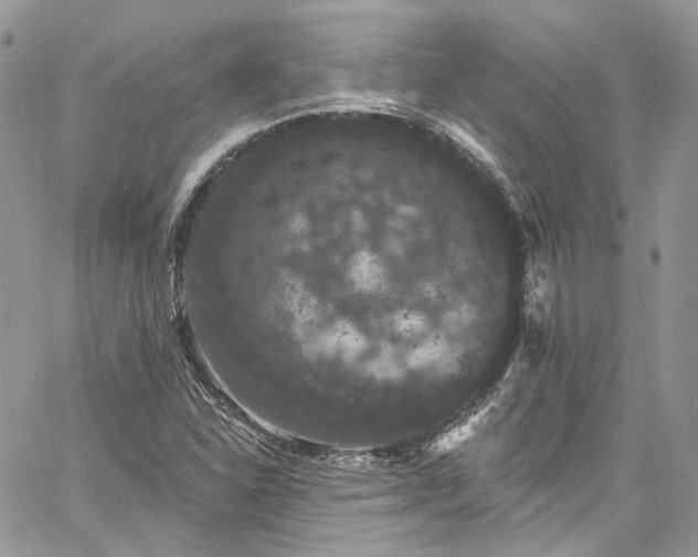 X0000060791310200511171258