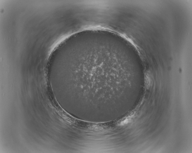 X0000060791311200511171258