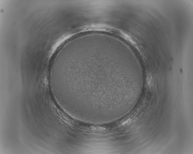 X0000060791312200511171258