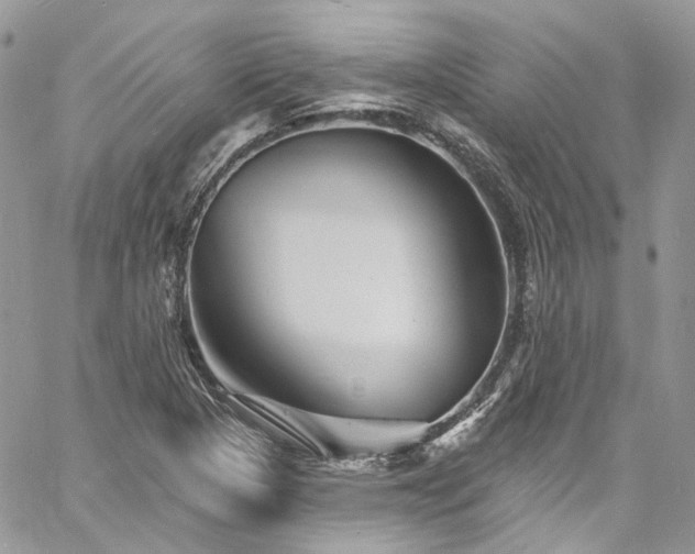 X0000060791313200511171258