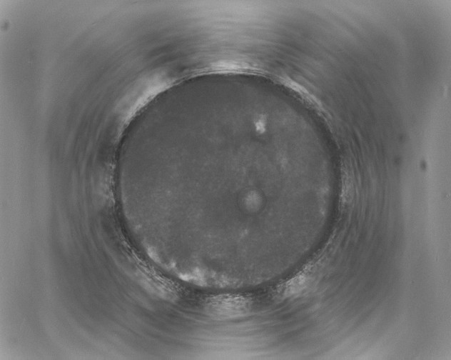 X0000060791314200511171258