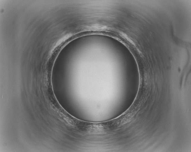 X0000060791315200511171258