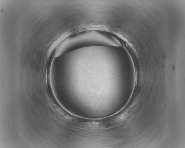 X0000060791317200511171258