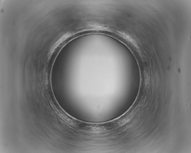 X0000060791318200511171258