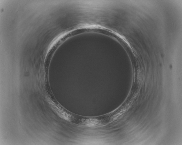 X0000060791319200511171258