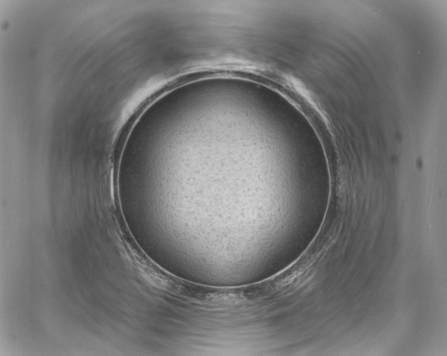 X0000060791320200511171258