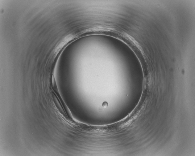 X0000060791321200511171258