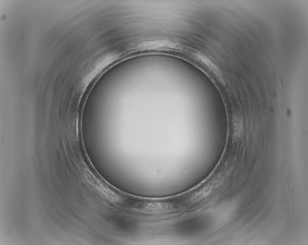 X0000060791322200511171258