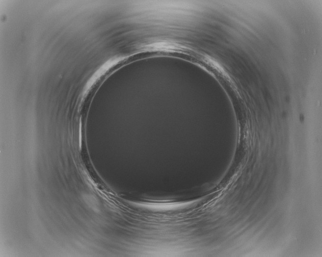 X0000060791323200511171258