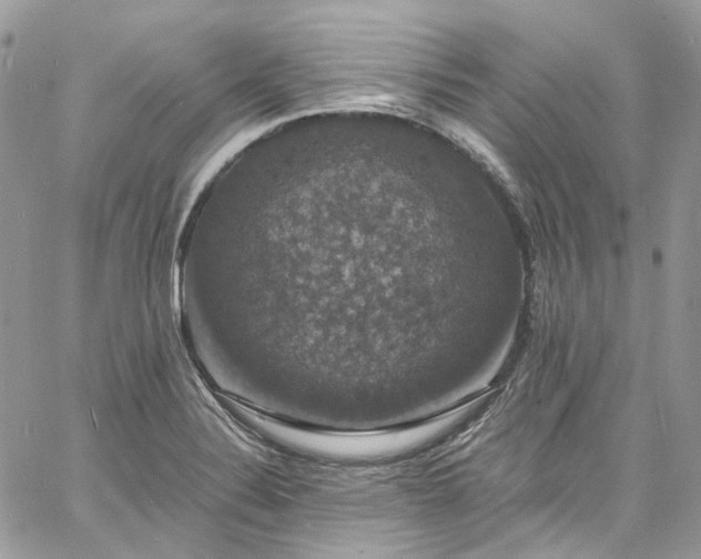 X0000060791324200511171258