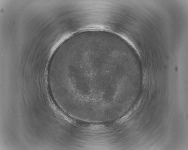 X0000060791325200511171258