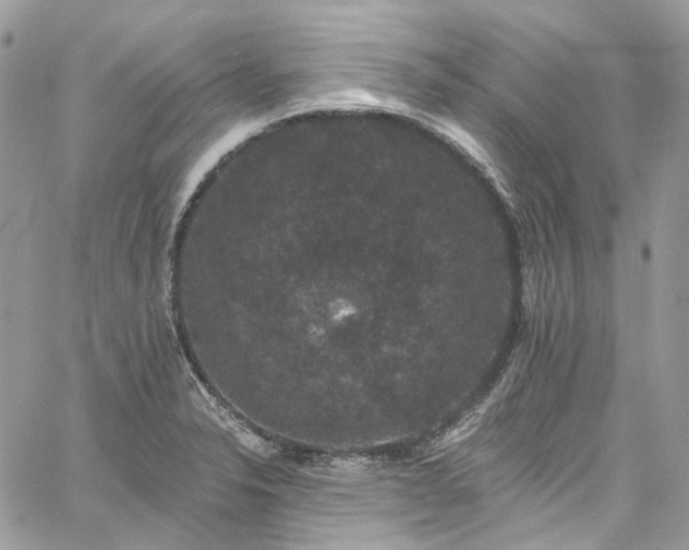 X0000060791326200511171258