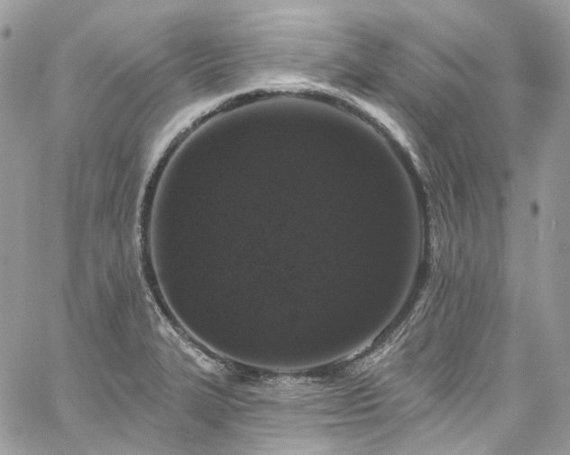 X0000060791327200511171258