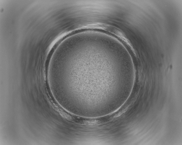 X0000060791328200511171258