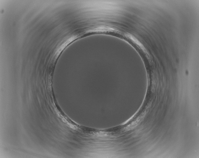 X0000060791329200511171258