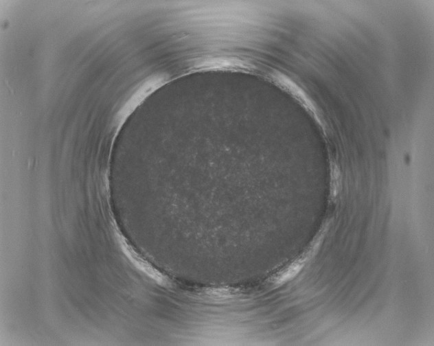 X0000060791330200511171258