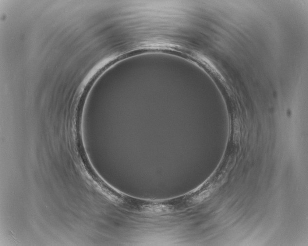 X0000060791331200511171258