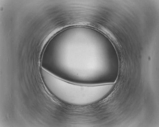 X0000060791332200511171258