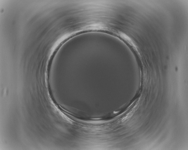 X0000060791334200511171258