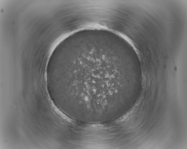 X0000060791335200511171258