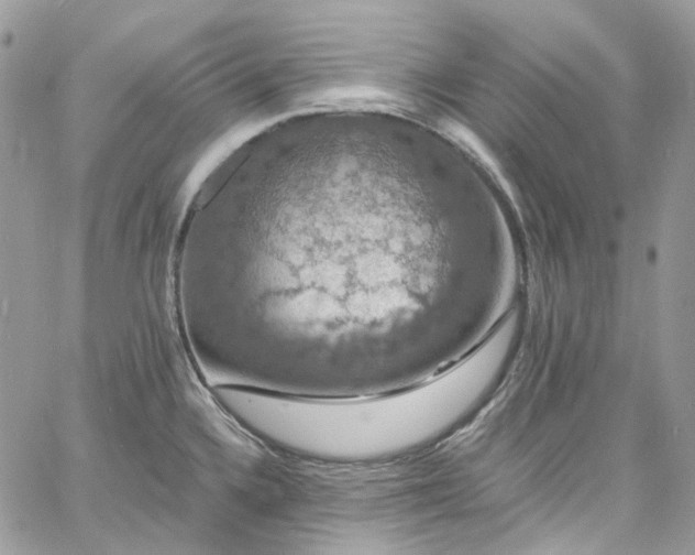 X0000060791336200511171258