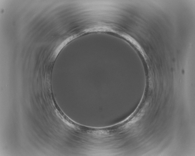 X0000060791337200511171258