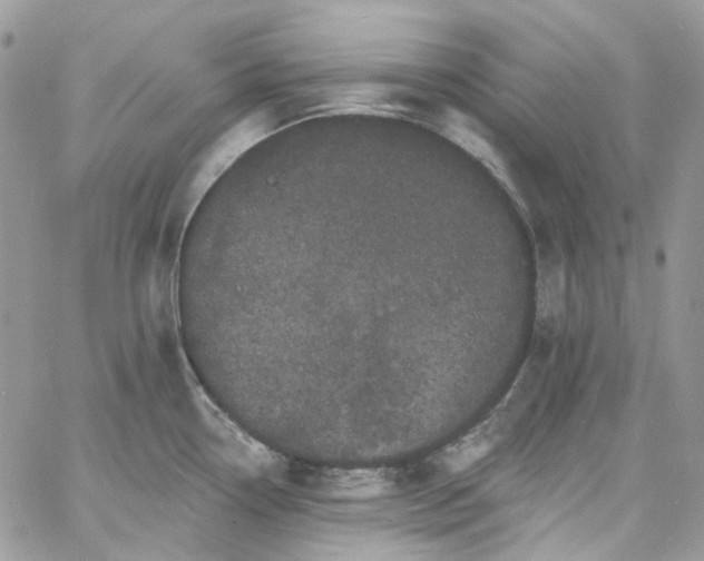 X0000060791338200511171258