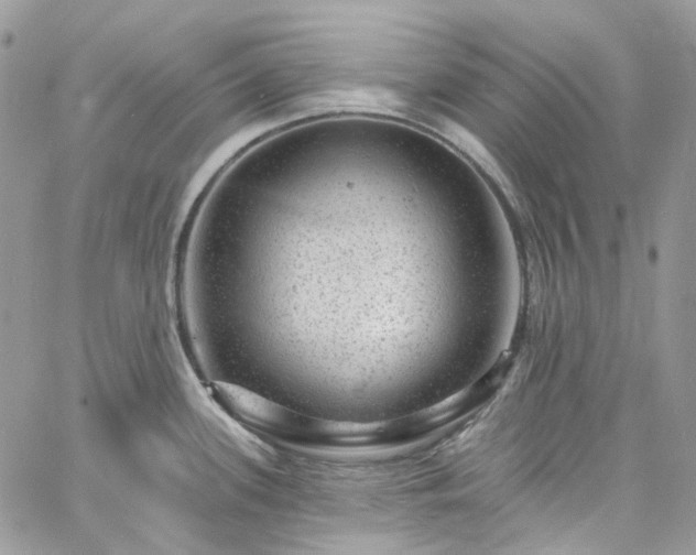 X0000060791339200511171258