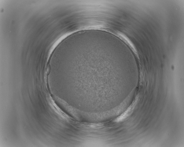 X0000060791340200511171258