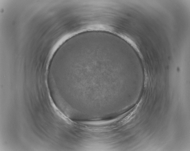 X0000060791342200511171258