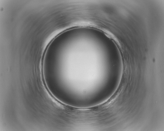 X0000060791343200511171258