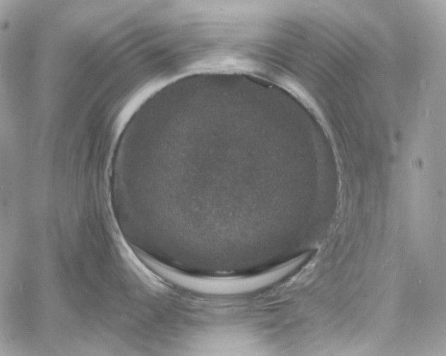 X0000060791344200511171258