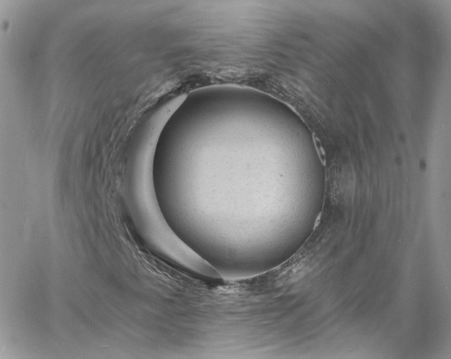 X0000060791345200511171258