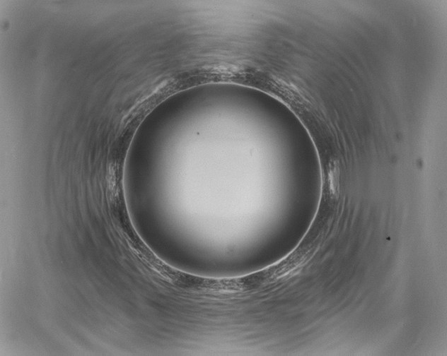 X0000060791347200511171258