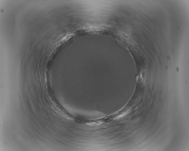 X0000060791348200511171258