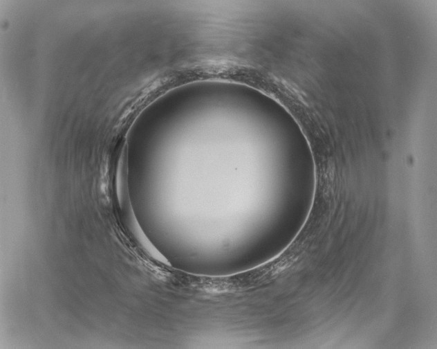 X0000060791349200511171258