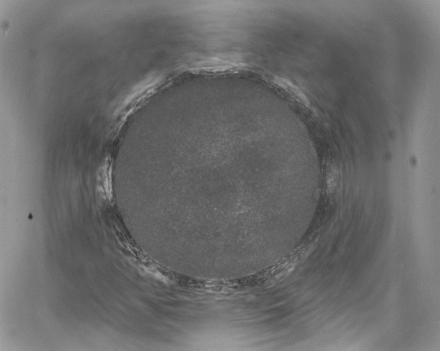 X0000060791350200511171258