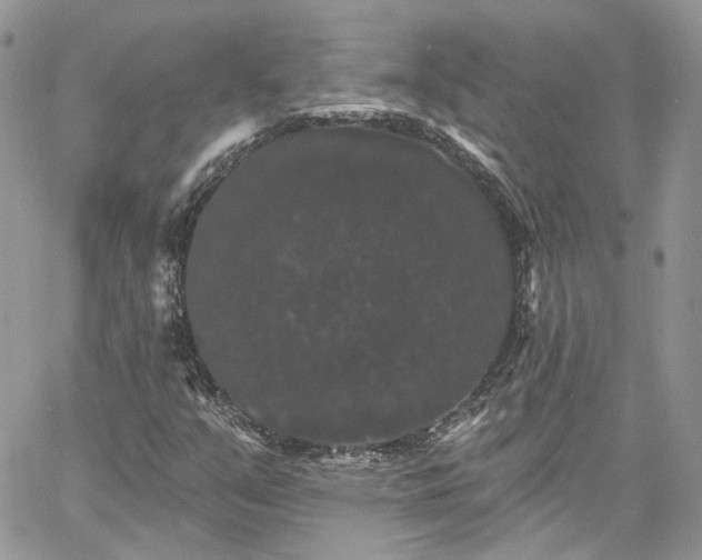 X0000060791351200511171258